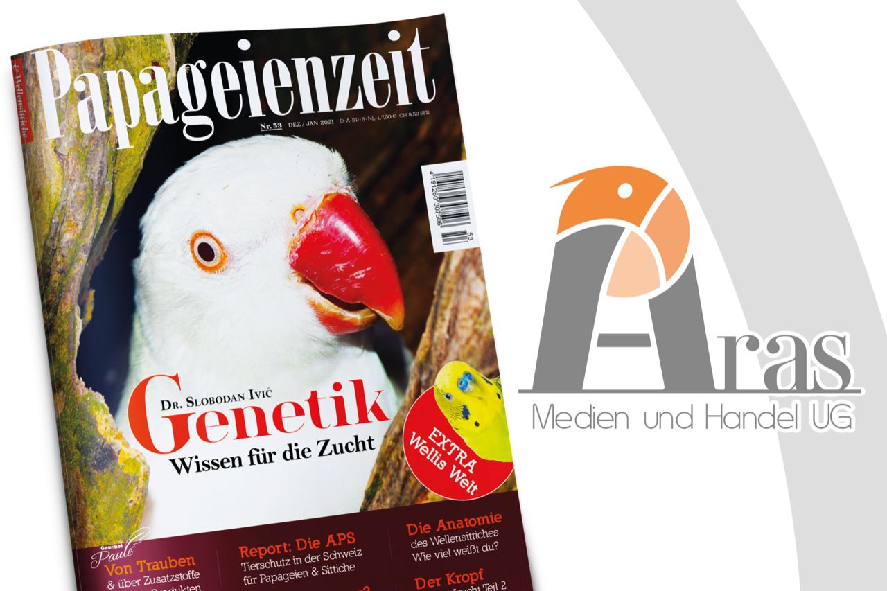 Papageienzeit
