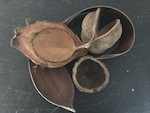 Kokosnuß / Palmblätter / Paranuß / Weide