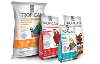 Tropican