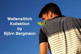 Wellensittich Kollektion by Björn Bergmann