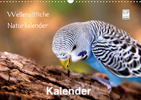 Kalender 2023