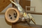 Preview: Foraging Spieltunnel aus Erle - bekannt aus der PapageienUmschau