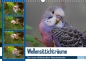 Preview: Wellensittichträume - Der neue Wellensittich-Naturkalender