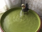 Preview: Vogelbrunnen mit Netzteil - 38cm * Speziell für Nymphen- und Großsittiche