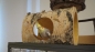 Preview: Birkentunnel Mont-Cenis 35x18 cm