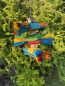 Preview: Rainbow - Der Schaukel und Schredderspaß