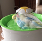 Preview: Flower Shower  - Badedusche (Ø18,5cm, 1,6l) - verschiedene Farben
