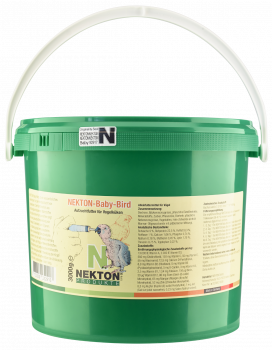 NEKTON-Baby-Bird