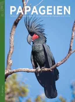 Papageien  Abo- Das Papgeien Magazin aus dem Arndt Verlag - bei uns als Abo erhältlich