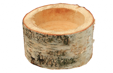 Cavi Cup- Die Futterschale aus einem Birkenstamm 10x16 cm