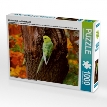 Wellensittich im Herbstwald (1000 Teile Puzzle)