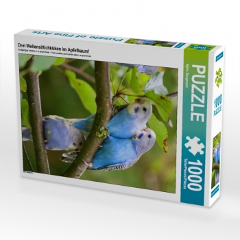 Drei Wellensittichküken im Apfelbaum! (1000 Teile Puzzle)