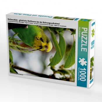 Wellensittich - glückliche Wellihenne bei der Nahrungsaufnahme! (1000 Teile Puzzle)