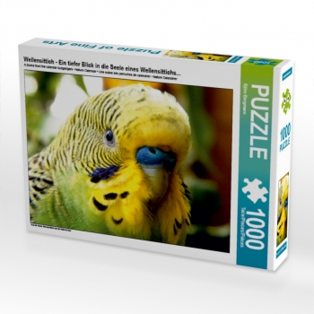 Wellensittich - Ein tiefer Blick in die Seele eines Wellensittichs... (1000 Teile Puzzle)