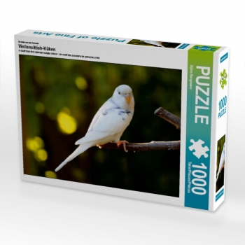 Ein Motiv aus dem Kalender Wellensittich-Küken (1000 Teile Puzzle)