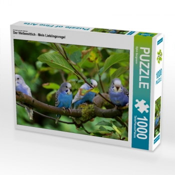 Ein Motiv aus dem Kalender Der Wellensittich - Mein Lieblingsvogel - (1000 Teile Puzzle)