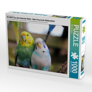 Ein Motiv aus dem Kalender Wellis - Mein Freund der Wellensittich (1000 Teile Puzzle)