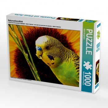 Naturwellensittich (1000 Teile Puzzle)