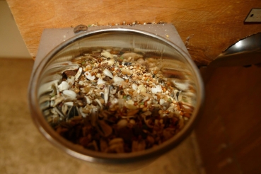 Foraging Spieltunnel aus Erle - bekannt aus der PapageienUmschau