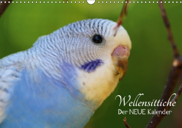 Wellensittiche - der NEUE Kalender