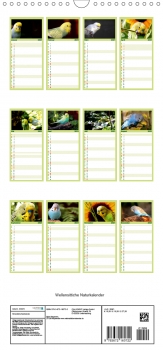Wellensittiche Naturkalender - Familienplaner (4)