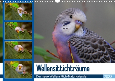 Wellensittichträume - Der neue Wellensittich-Naturkalender