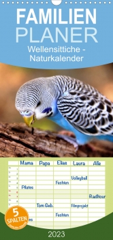 Wellensittiche Naturkalender - Familienplaner (4)