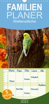 Wellensittiche - Familienplaner (3)