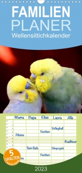 Wellensittichkalender - Familienplaner (2)