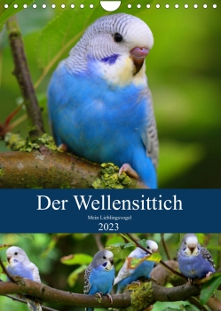 Der Wellensittich - Mein Lieblingsvogel
