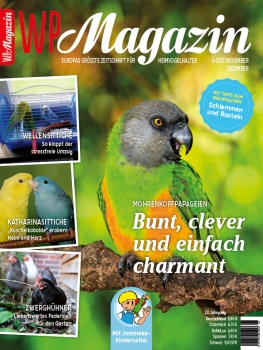 WP Magazin 6/2017