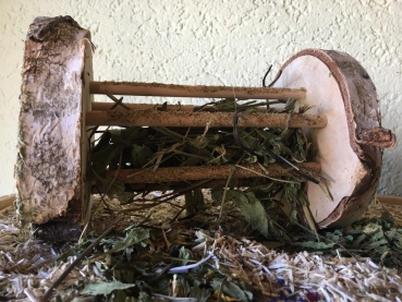 Hängeroller mit Echinacea/ Spitzwegerich