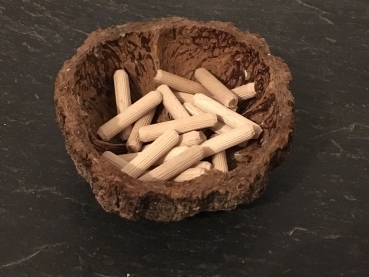 Paranußschale gefüllt mit Holzstäbchen