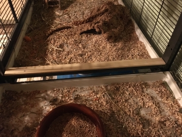Kiefern-Schiene zur Abdeckung des Spaltes zwischen zwei Käfigen