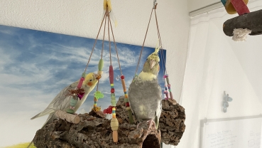 Korkröhre Sam ca. 16-20 cm - Korkröhre mit Holz Elementen und Acryl