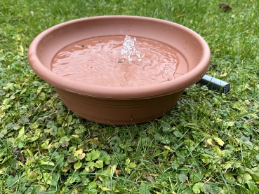 Vogelbrunnen mit Netzteil - 38cm * Speziell für Nymphen- und Großsittiche