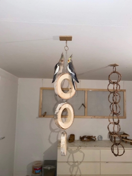 Ringschaukel Trio aus Mahagoniholz zum aufhängen mit Edelstahlkette