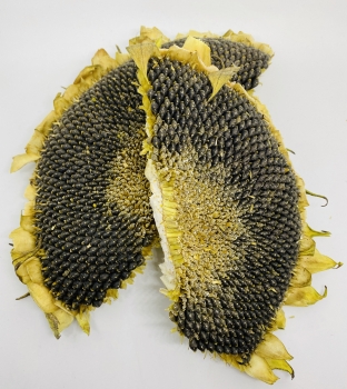 Sonnenblumenköpfe halb, naturbelassen 200g