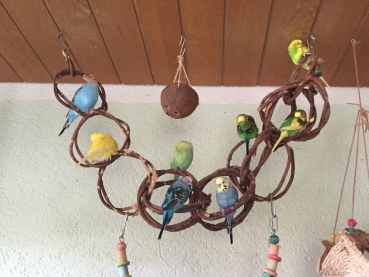 Weinreben Ringschaukel 100cm