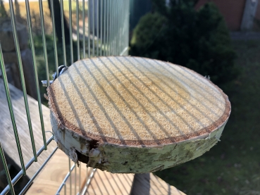 Rundes Sitzbrettchen Lemon M aus Birkenholz 12-15 cm