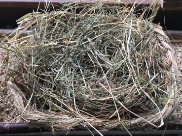 Frisches Wiesenheu aus Erding/ Bayern frisch vom Bauern 500g
