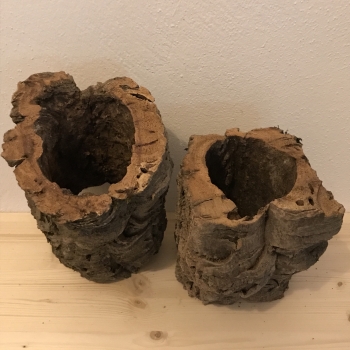 Korkröhre X