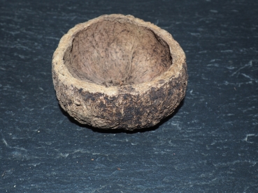 Paranußschale (Ourica)