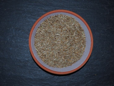Grassamen "Viererlei"