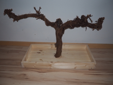 Wühlkiste L 63,5x33,5x7 cm mit Weinrebe