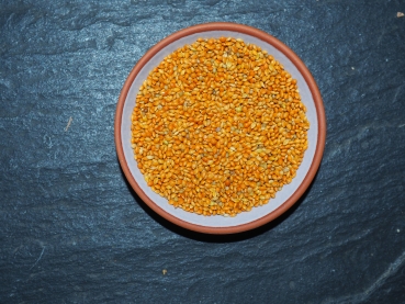 Mannahirse