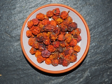 Ebereschenbeeren / Vogelbeeren