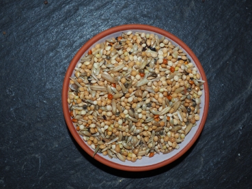 SiMa - Grasmischung
