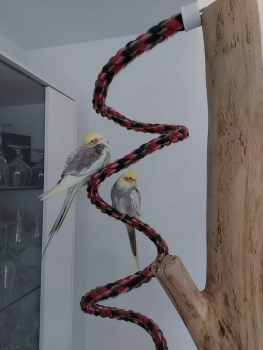 Bird Twist S - Kletterspirale für Sittiche