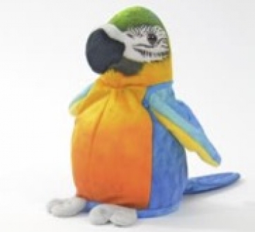 Laber-Blauflügel-Ara, Papagei "Sunny", der alles nachplappert